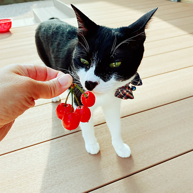 moolさんの実例写真