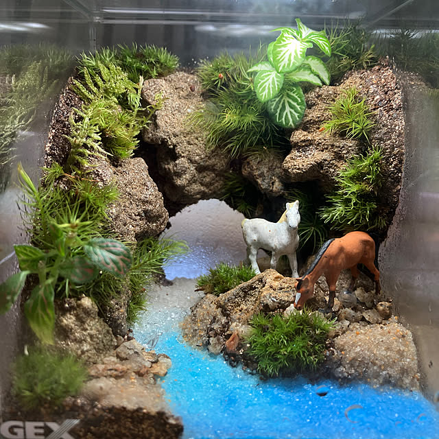 rockoさんの実例写真