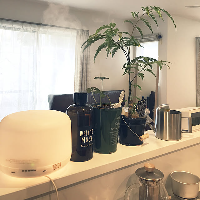 キッチン/ホワイトインテリア/無印良品/観葉植物のインテリア実例 - 2018-11-09 11:52:55