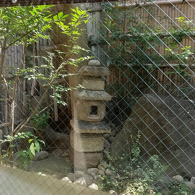 ai-nyanko.さんの実例写真