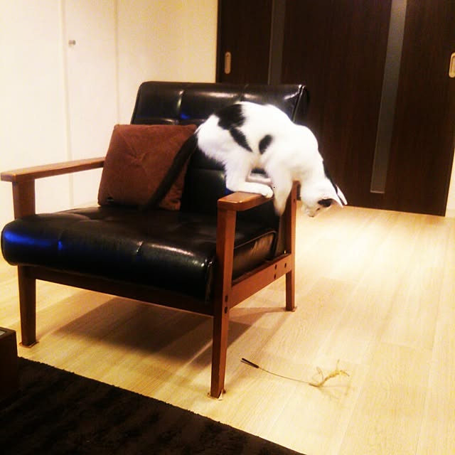 noguchiken0102さんの実例写真
