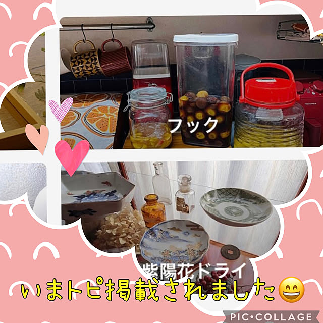 jijiさんの実例写真