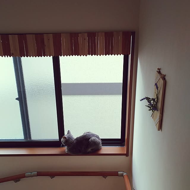 go-yaさんの実例写真