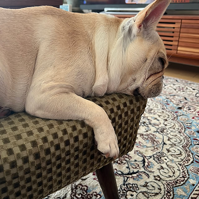 Inarichinさんの部屋