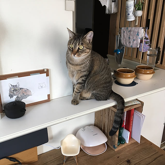 mikomaruさんの実例写真