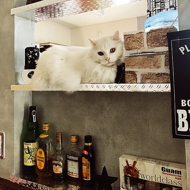 mama123さんの実例写真
