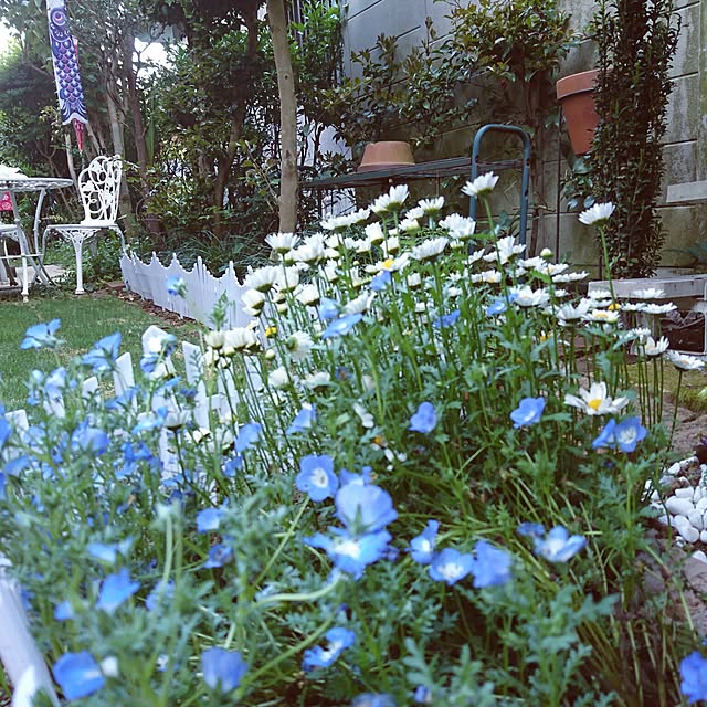 Mooさんの実例写真