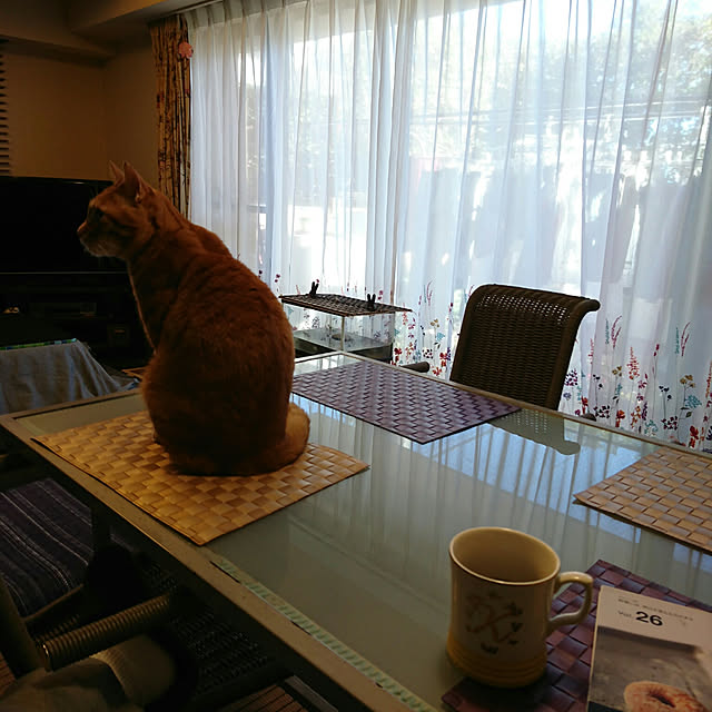 okyosan101さんの実例写真