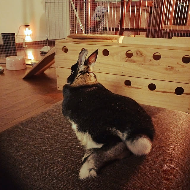 peach2さんの実例写真