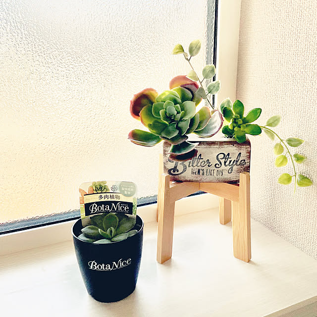 ikt.tamaさんの実例写真