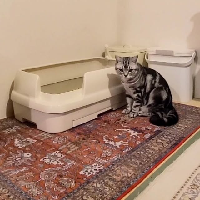 lovepeaceさんの部屋