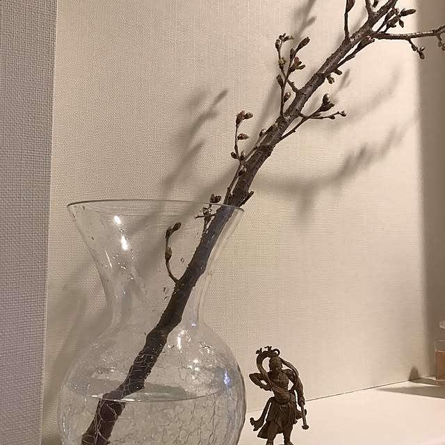 shocopin0505さんの実例写真