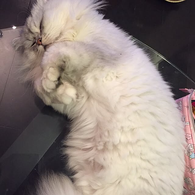 horurunさんの実例写真