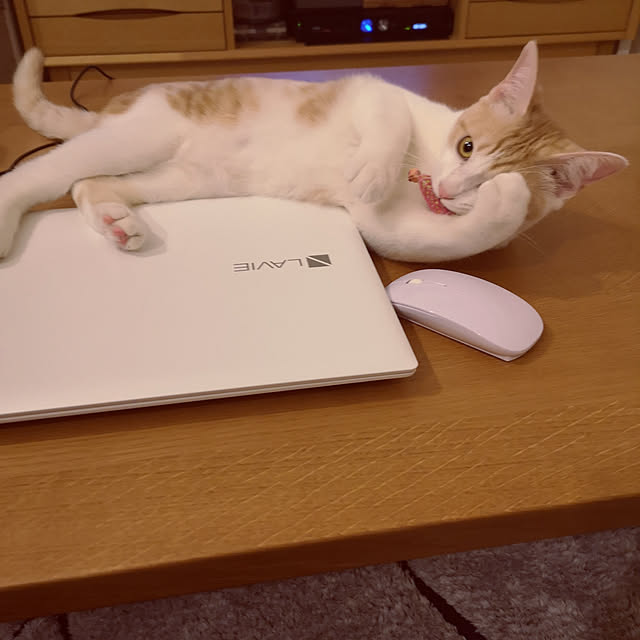 koyurizuさんの実例写真