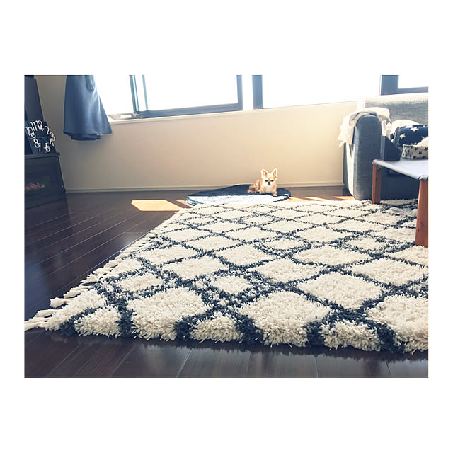 ai_qoo_hideさんの実例写真