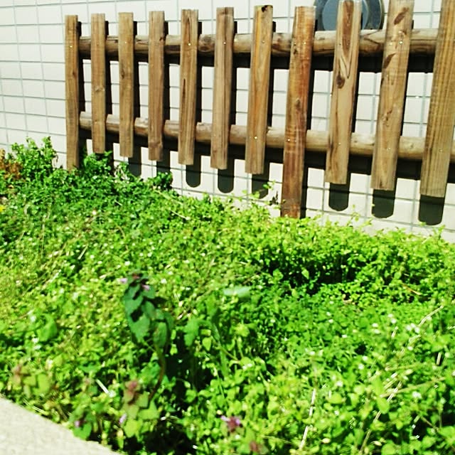 ss-36さんの実例写真