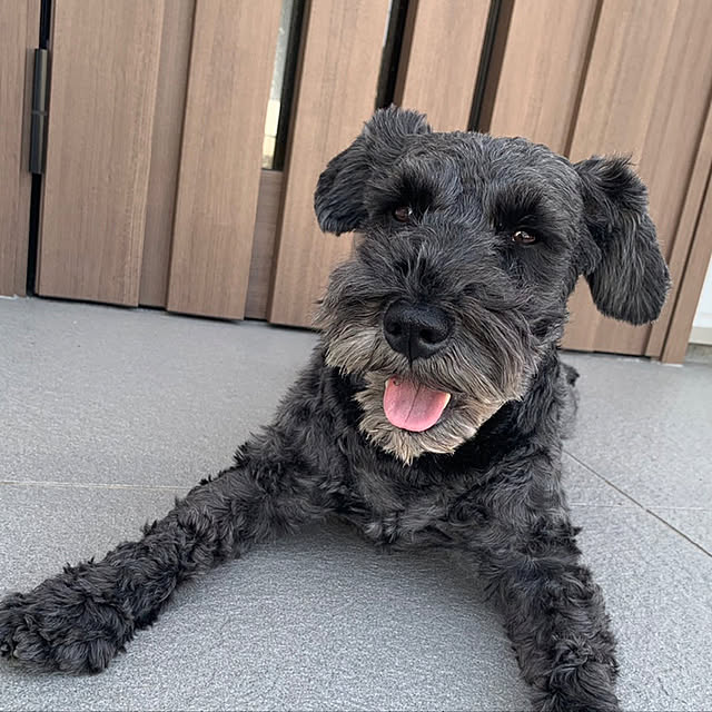 Haruさんの実例写真