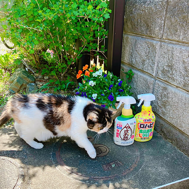 akanekoさんの部屋