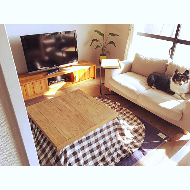 makaさんの実例写真
