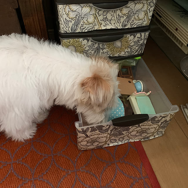 Fumiさんの部屋