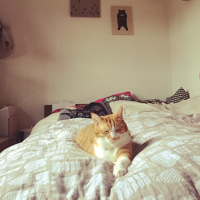 cobonniさんの実例写真
