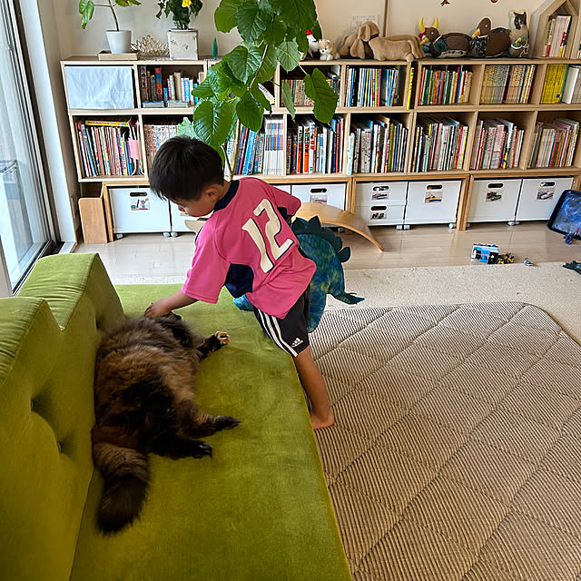 mikomaruさんの部屋
