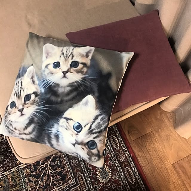 tiffさんの実例写真