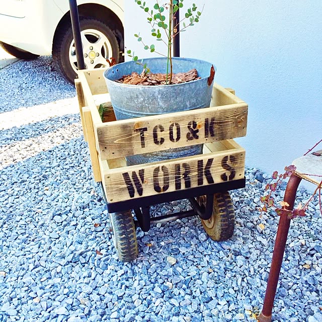 玄関/入り口/DIY/植物のインテリア実例 - 2014-03-28 12:07:56