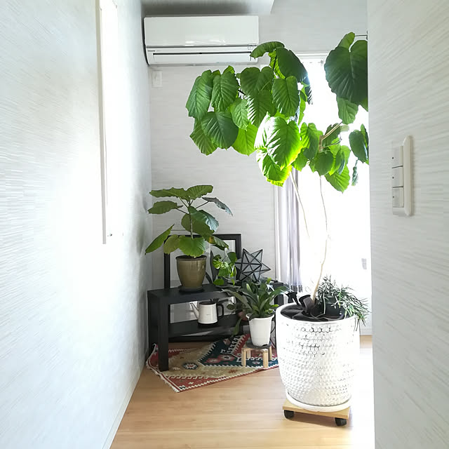 Jijiさんの実例写真