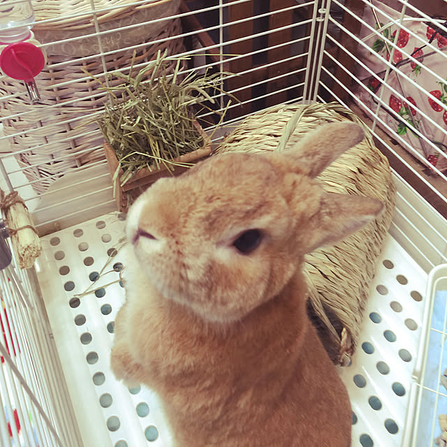 Yasuyukiさんの実例写真