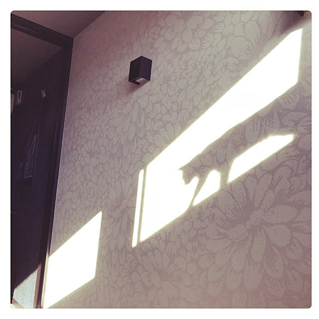 nsugi0710さんの実例写真