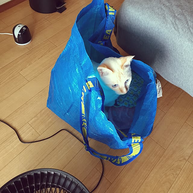toufuさんの実例写真