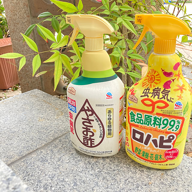 ruruさんの実例写真