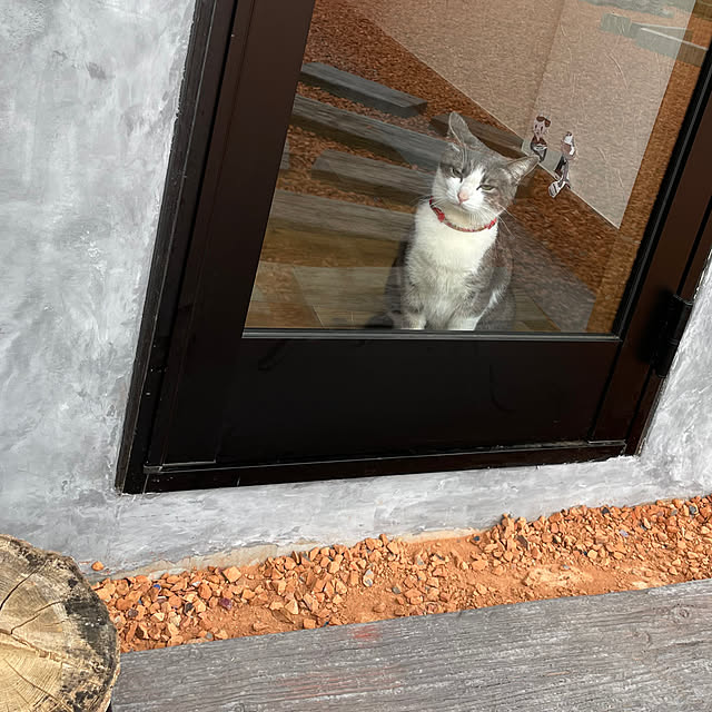 nekosamaさんの実例写真