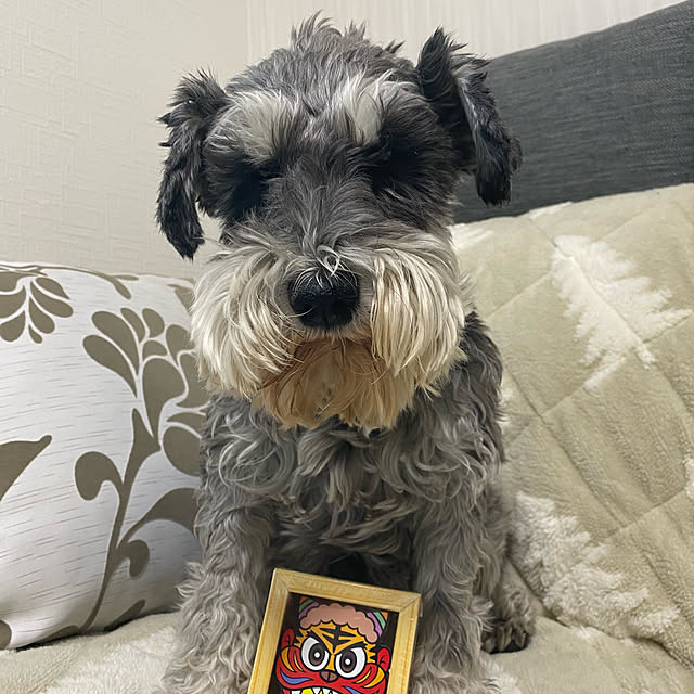 C-C.chanさんの実例写真
