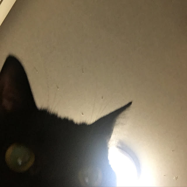 uraraさんの実例写真