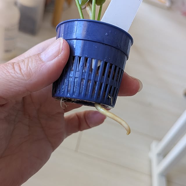 mi-saさんの部屋