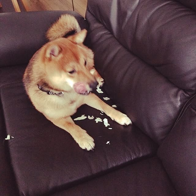 hanakoさんの実例写真