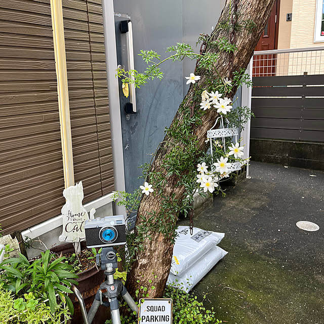 mayumiさんの部屋