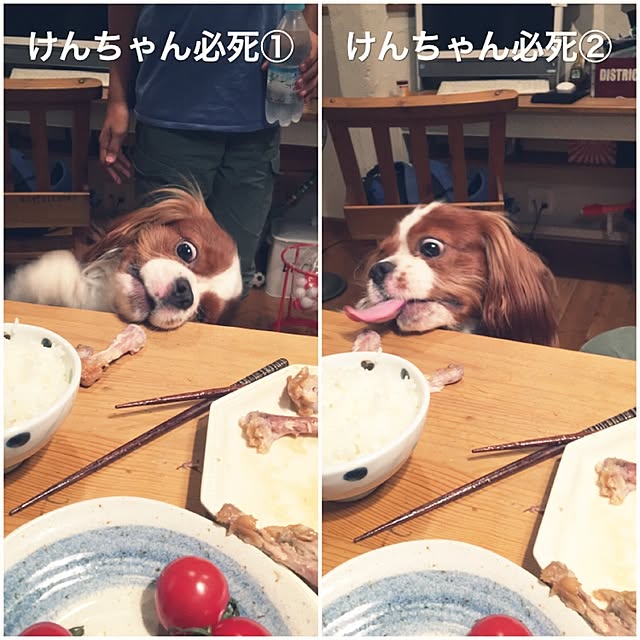 miyaさんの実例写真