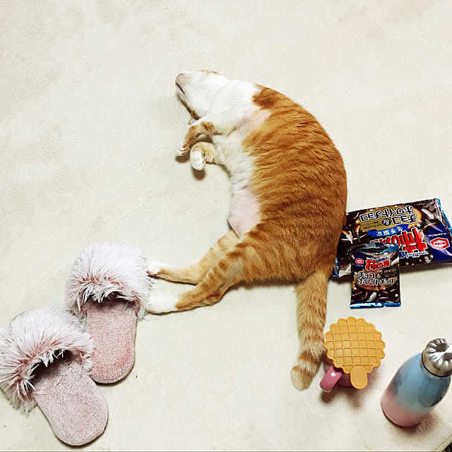 brbrnknkさんの実例写真