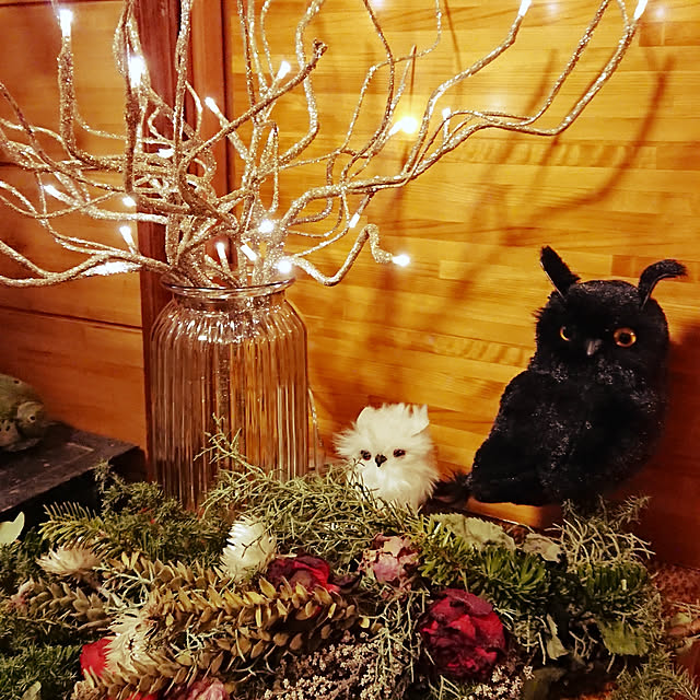 gooorinさんの実例写真