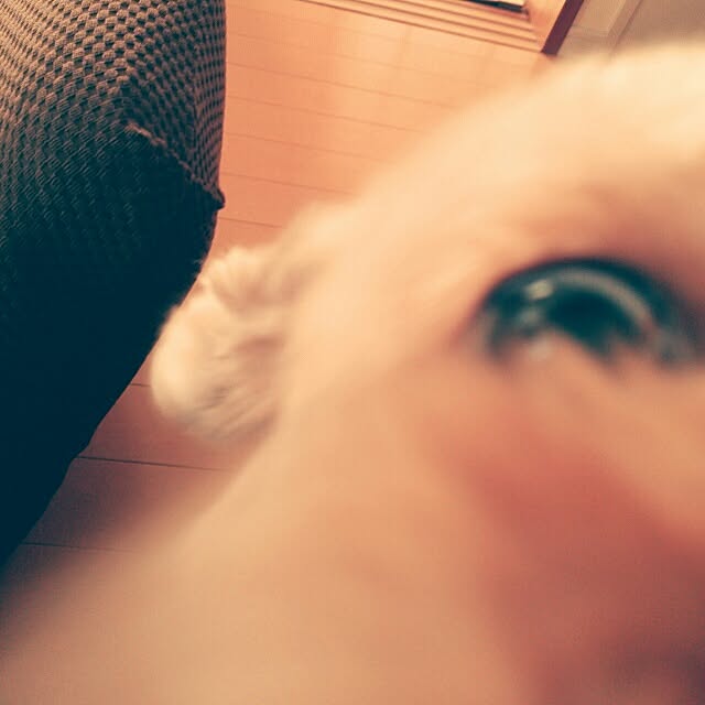 su--さんの実例写真