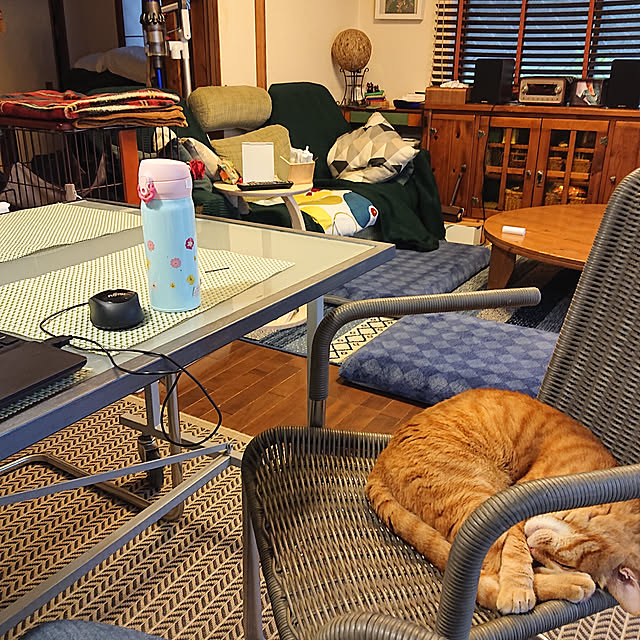 okyosan101さんの実例写真