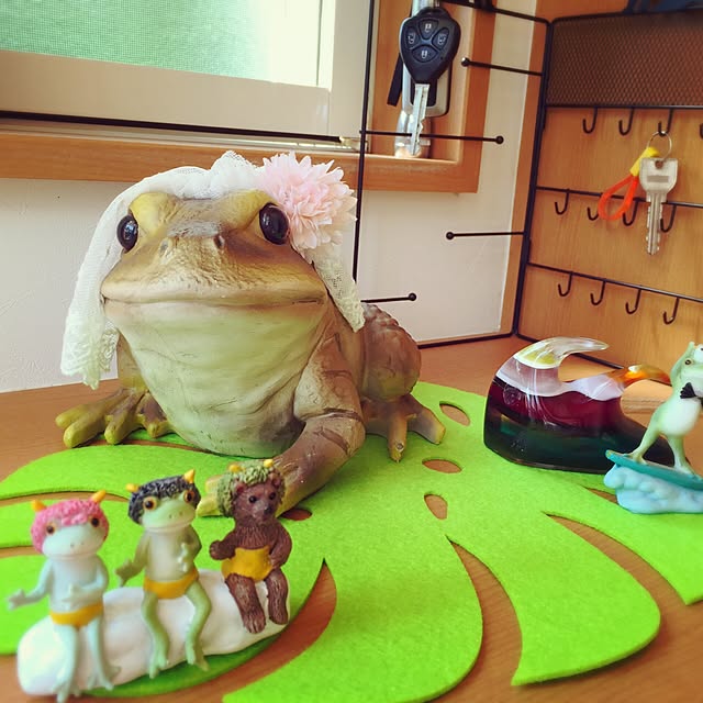 Miuさんの実例写真