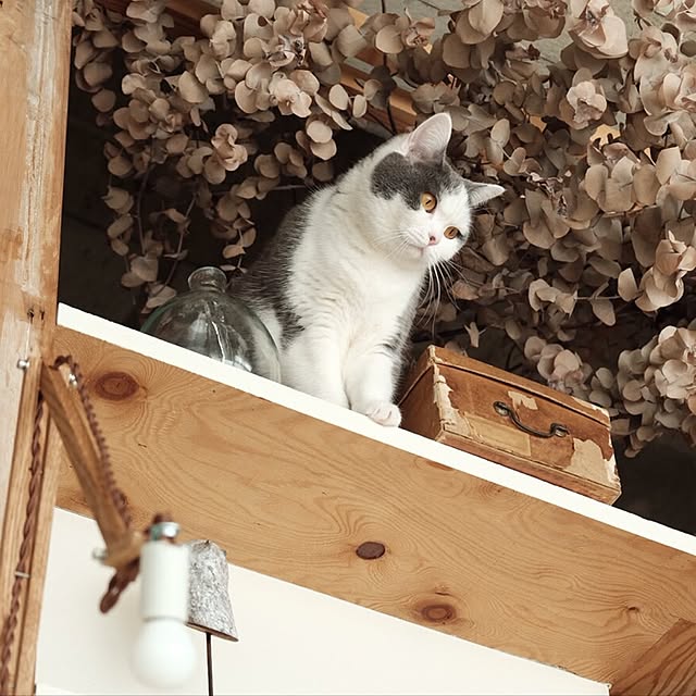 yunさんの実例写真
