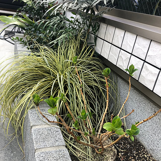 Rororiさんの部屋