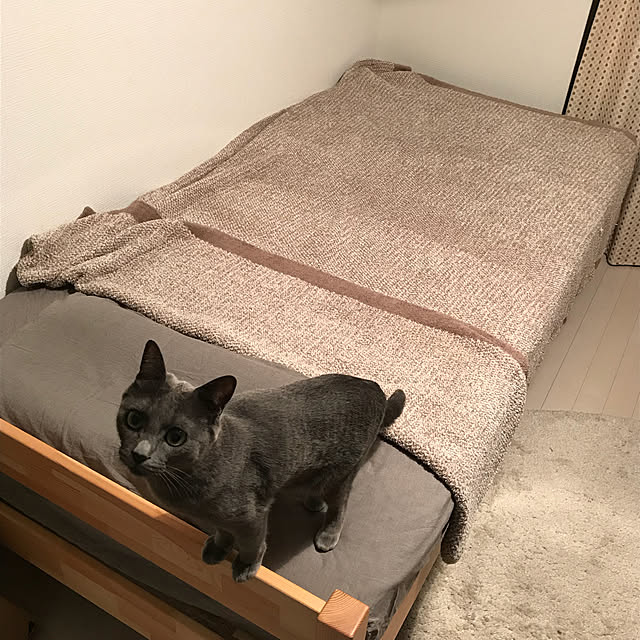 73さんの実例写真