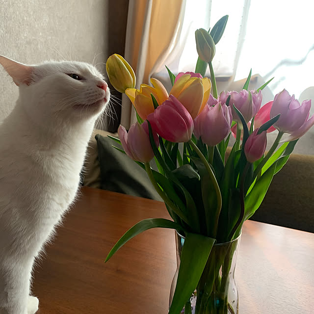keiさんの部屋