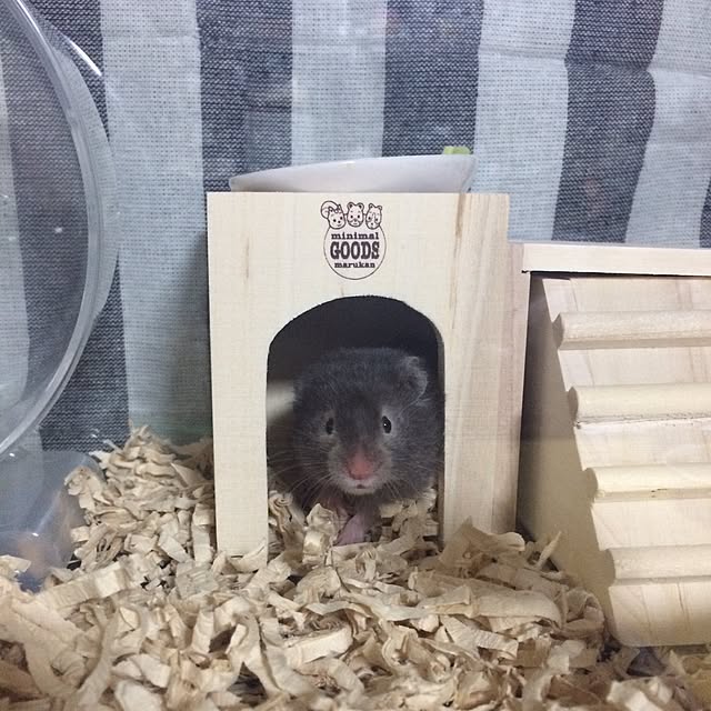 ribbonさんの実例写真